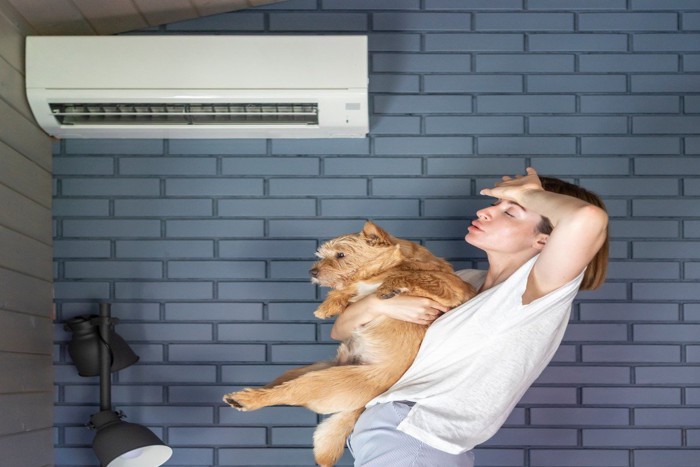暑そうな女性と犬