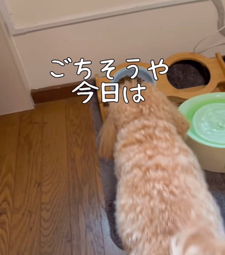 ご飯に近づく