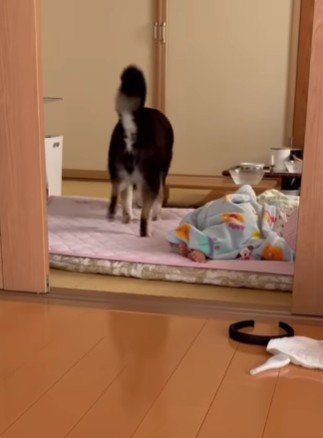 寝ている赤ちゃんの横に…