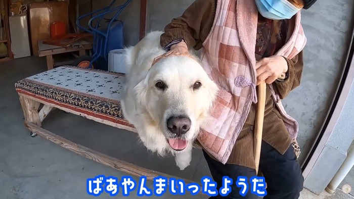 嬉しそうにニコニコ♪