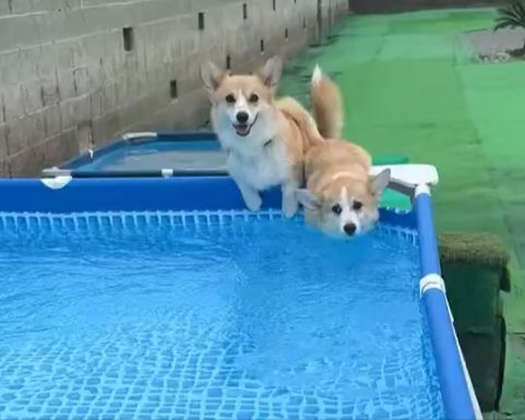 プール