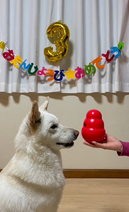 お誕生日もお祝いしたよ