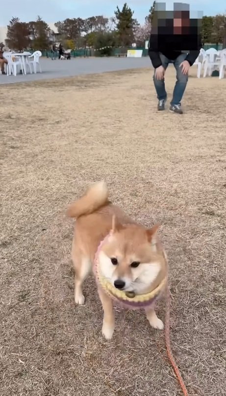 ぎこちない動きにキュン♡