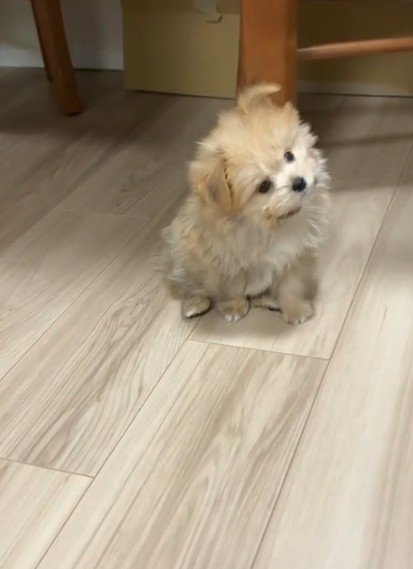 反対側にも…♪