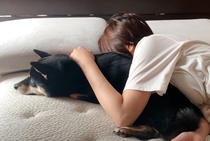 飼い主と寝る犬