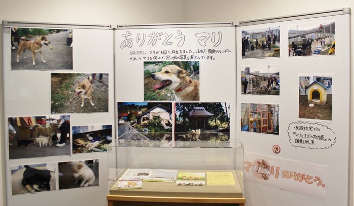 写真展