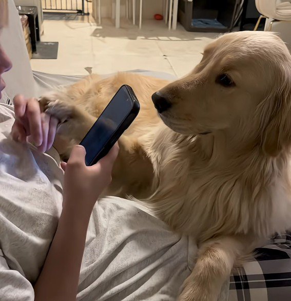 「スマホばっかり見ないで！」