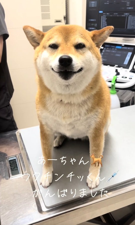 注射が終わったあーちゃん