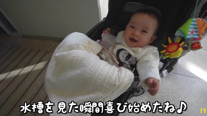 初めての水族館に興奮しきり