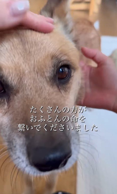 おふとん君の変化7