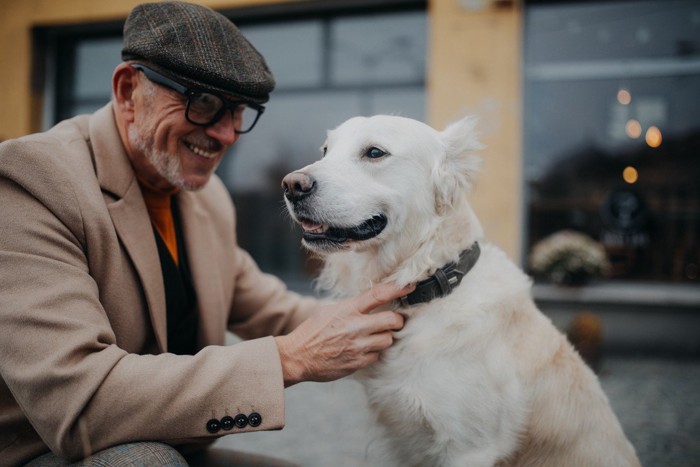 老人と老犬の散歩