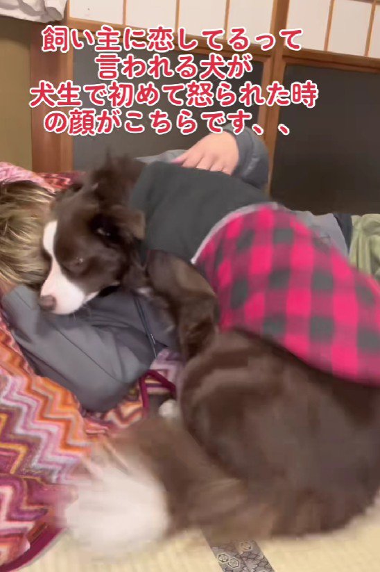 パパのことが大好き！