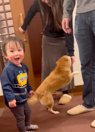歓迎する犬