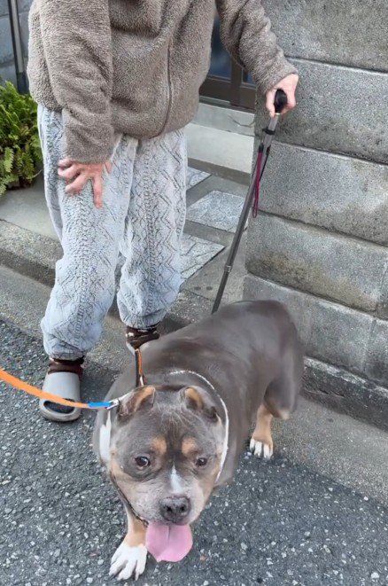 嬉しそうな小太郎ちゃん