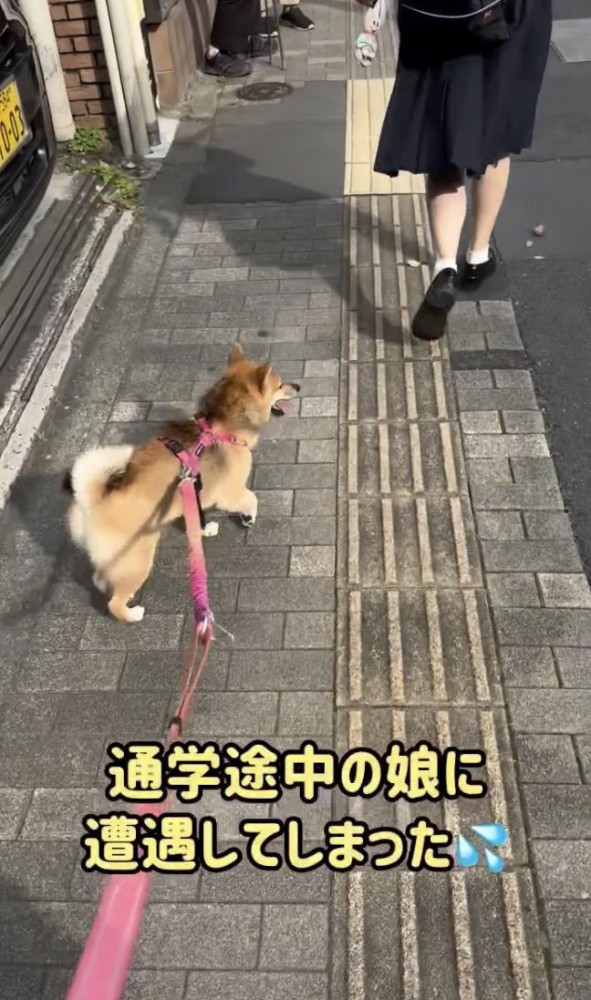 「！！」