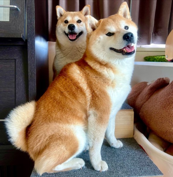 仲良し兄妹