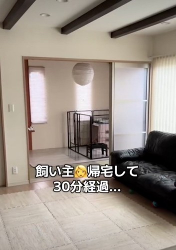 時間がたったけれど…