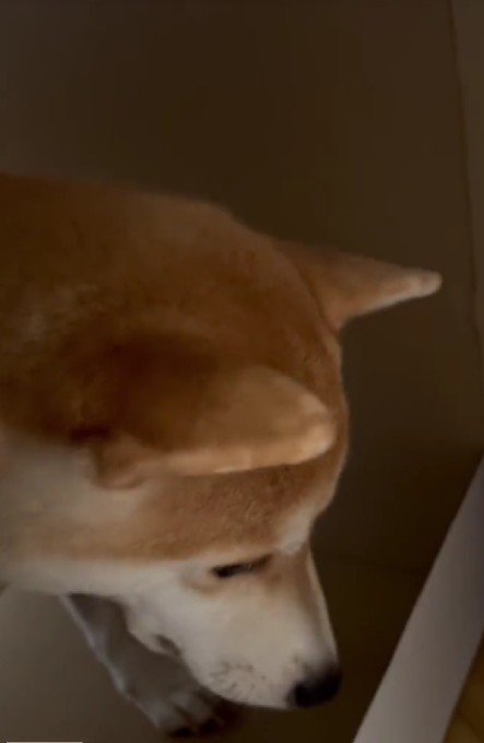 「ここ落ち着くんだ…」