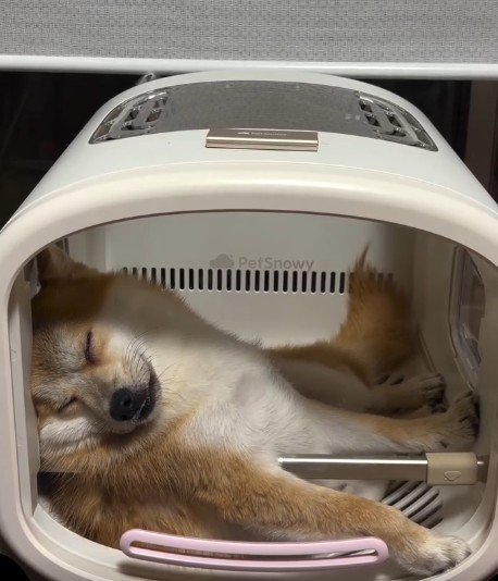 堂々たる姿にクスッ♪
