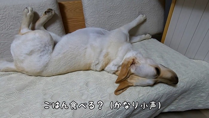 「ご飯食べる？」と小声で質問