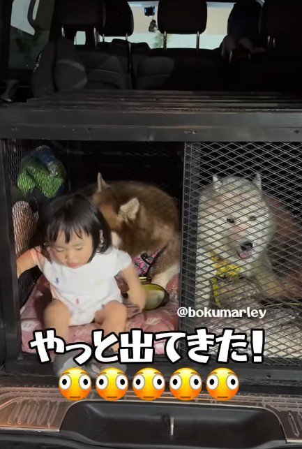 観念したと思いきや!?
