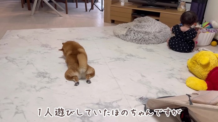 各々一人遊び