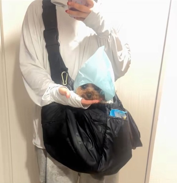 お似合いのうーろんくん