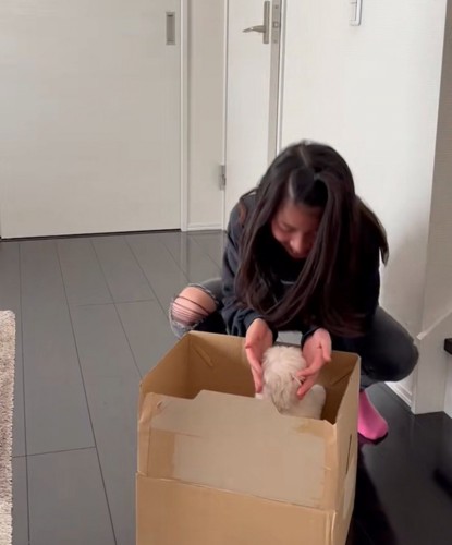 子犬を撫でる女の子