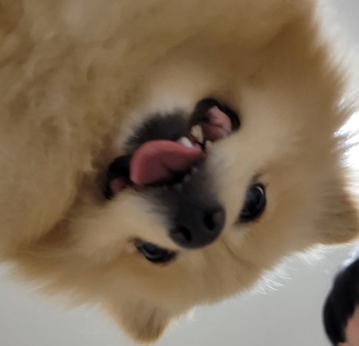 アップ