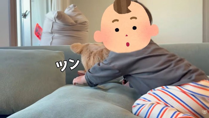 追い回し始めたら…