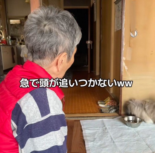 その場でフリーズ