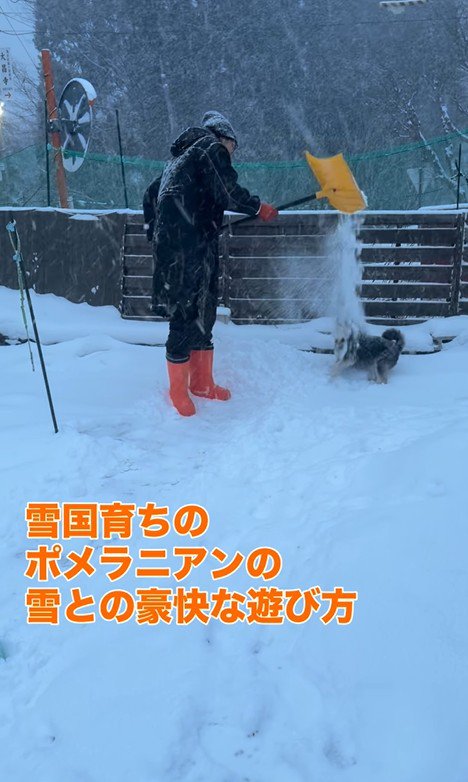 龍之介くんの雪遊び2