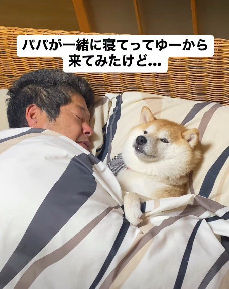 仰向けになってみるも…