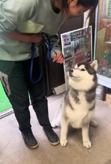 「もう行っていい?」