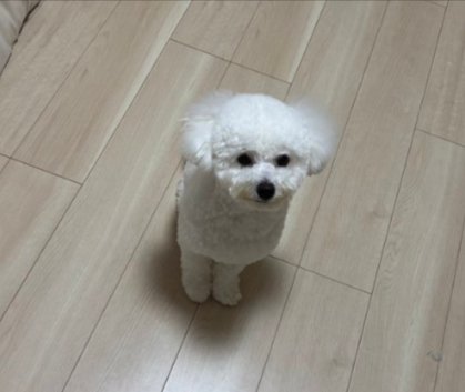 ふわふわ