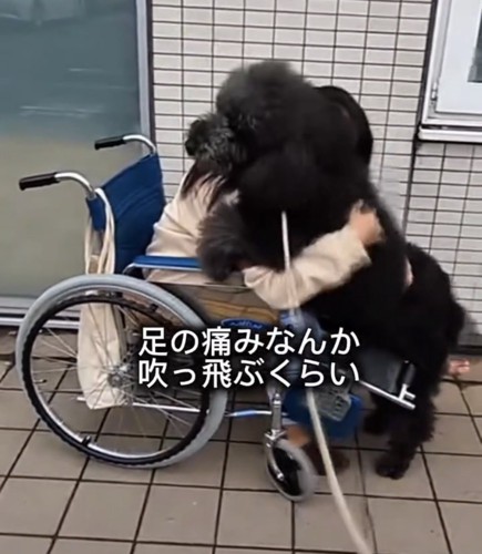 車椅子の女性に寄り添う犬