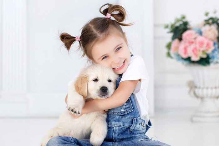 少女に抱っこされてかたまる子犬