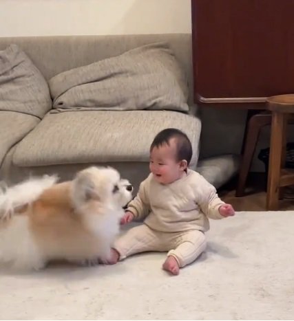 子守をする小太郎くん