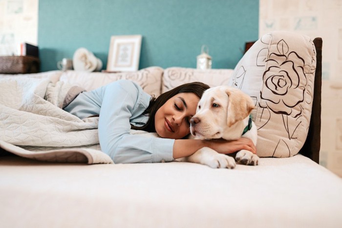 ベッドで横になる飼い主に寄り添う犬