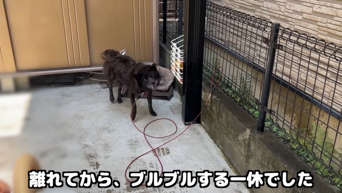 それでも気遣いを忘れません♪