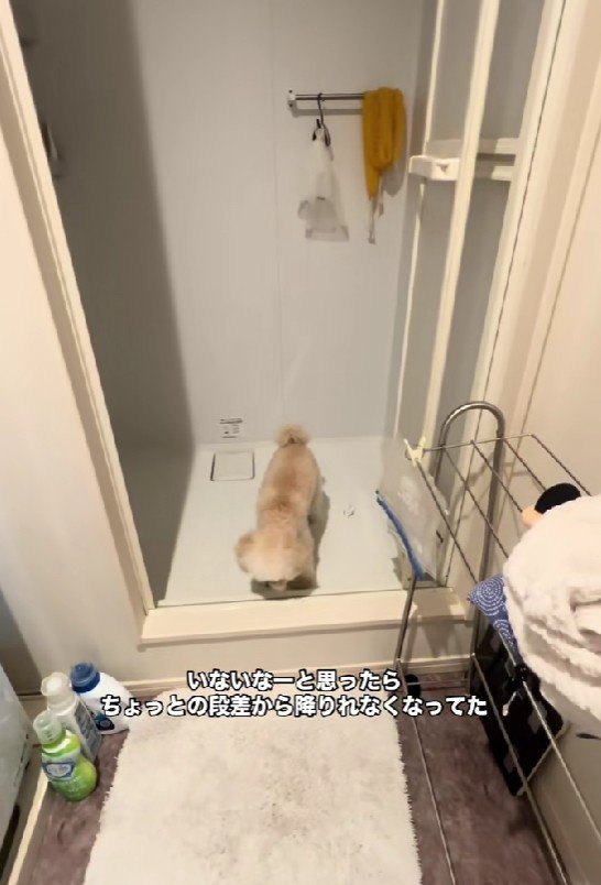 「助けて～！！」