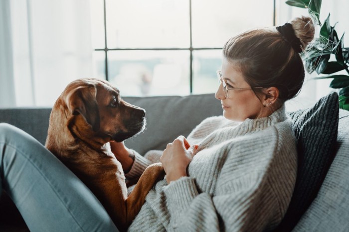 ソファで見つめ合う女性と犬