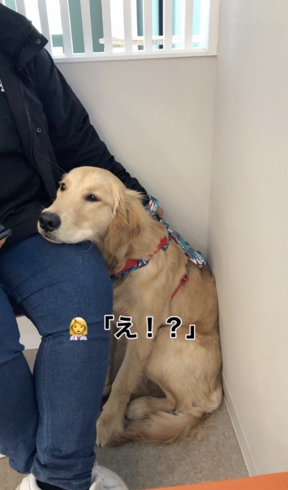 先生は無言で脚を触り続けます