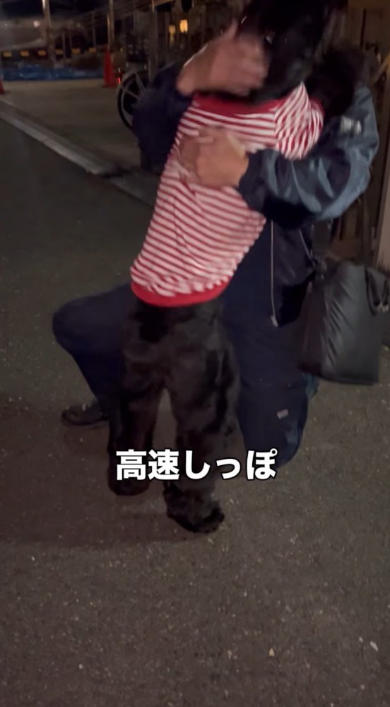 高速で揺れる黒い犬のしっぽ