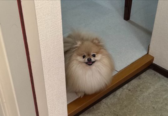笑顔が最高