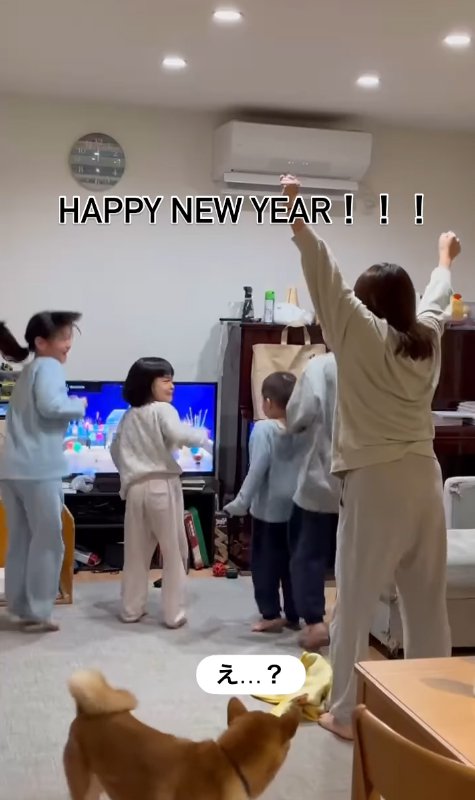 飼い主と新年を迎える柴犬