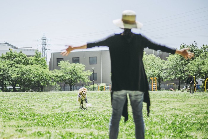 両手を広げる女性と走ってくる犬