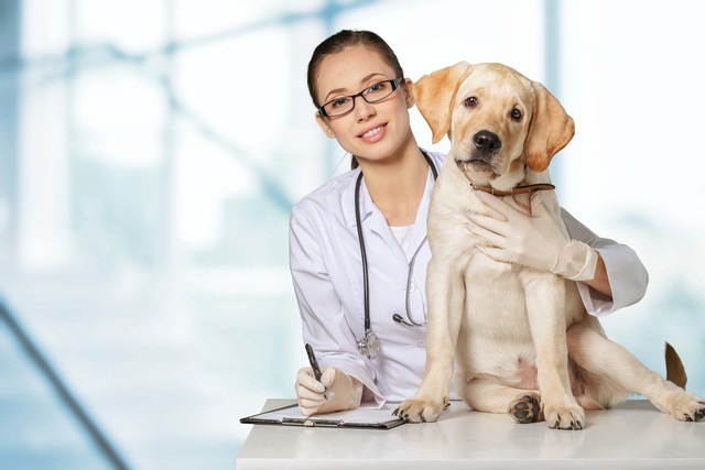 医師と座っている犬