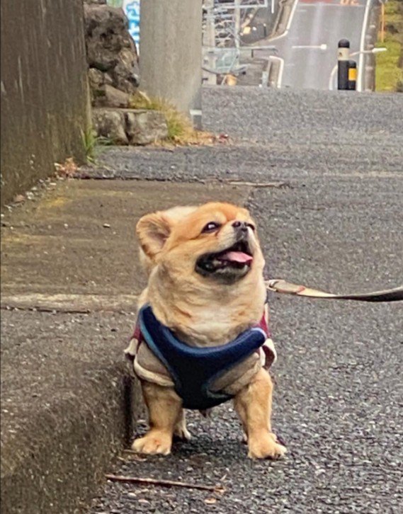 がっしり逞しい…!!