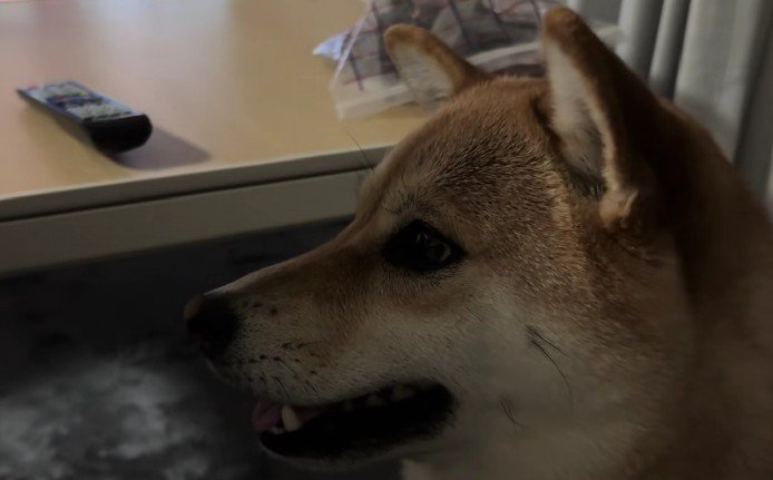 気合いを入れて再チャレンジ